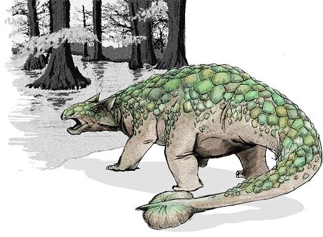 Ankylosaurus picture 6