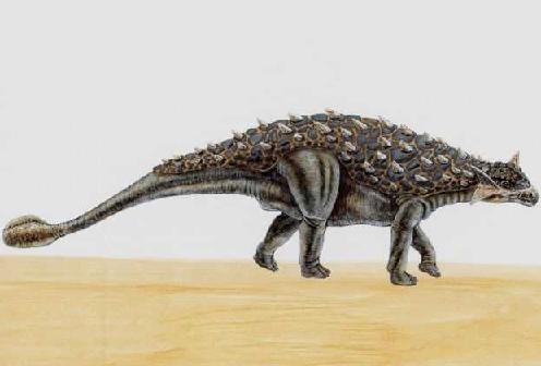 Ankylosaurus