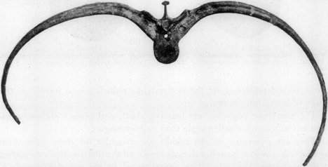 Ankylosaurus ribs